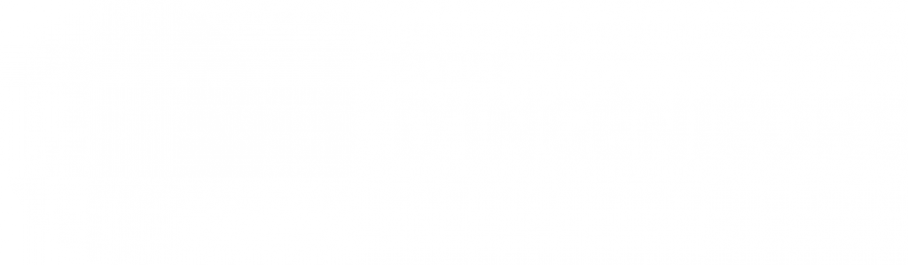 ESILV logo